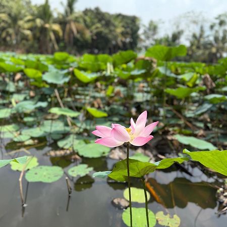 Huong Tram Homestay Ho Da 외부 사진