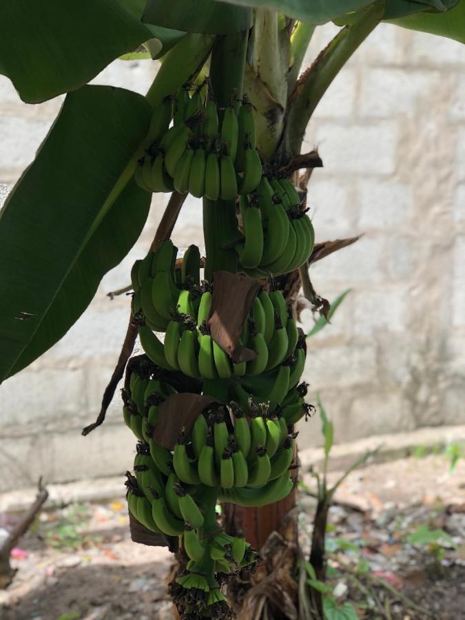 Huong Tram Homestay Ho Da 외부 사진