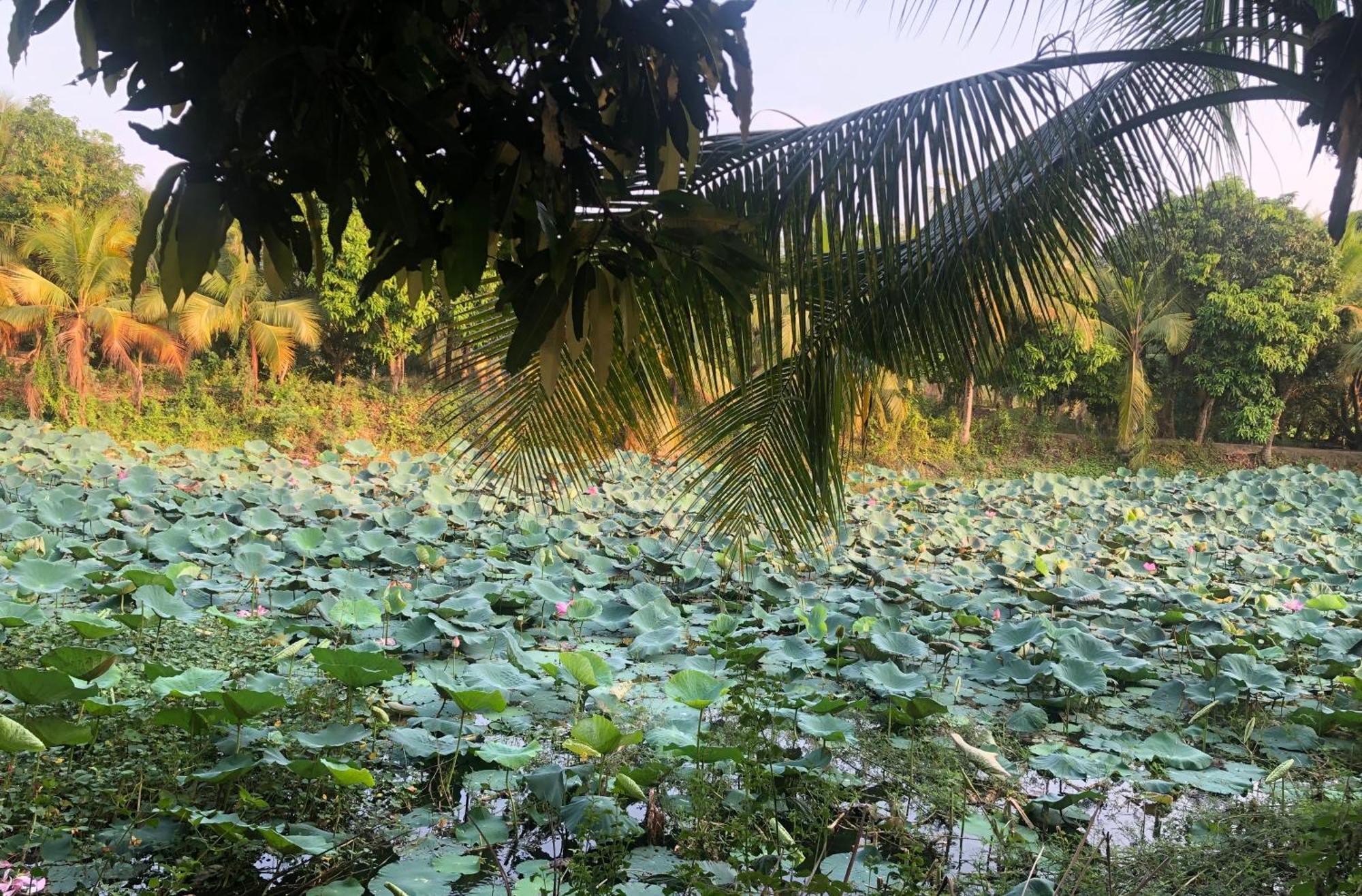 Huong Tram Homestay Ho Da 외부 사진