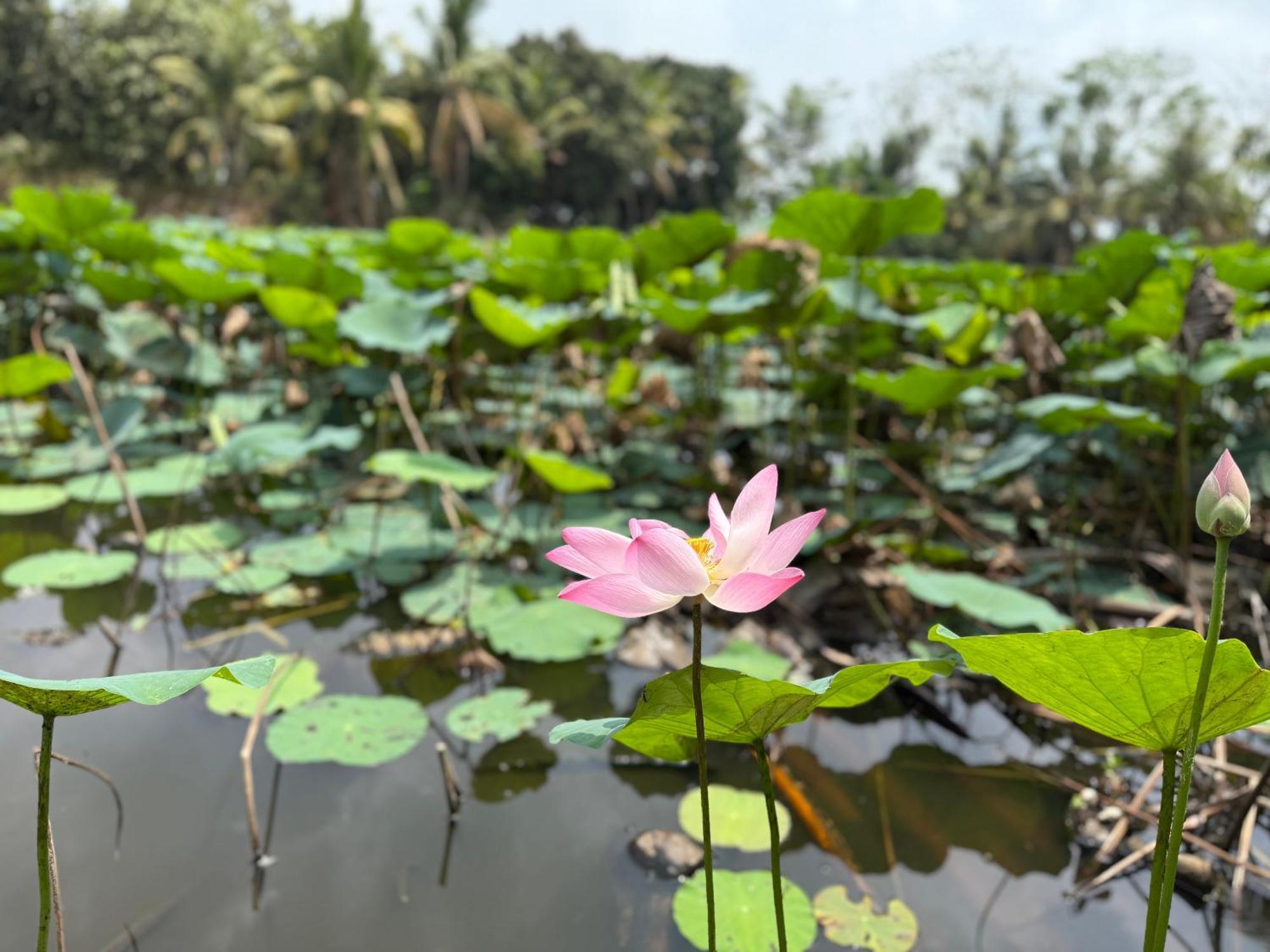 Huong Tram Homestay Ho Da 외부 사진