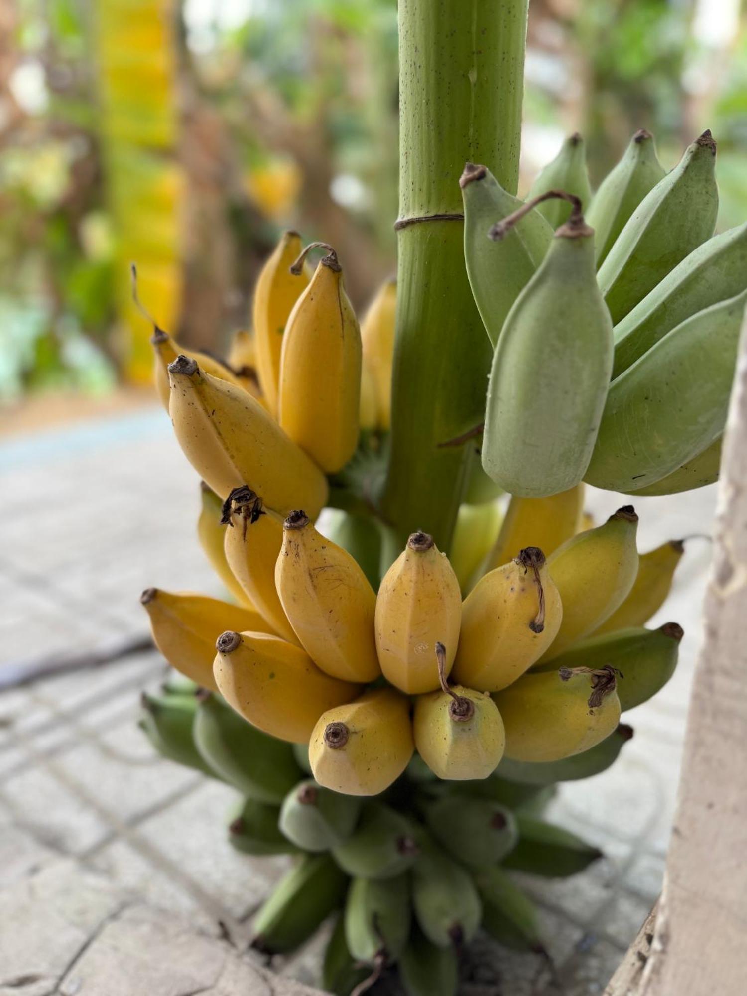 Huong Tram Homestay Ho Da 외부 사진