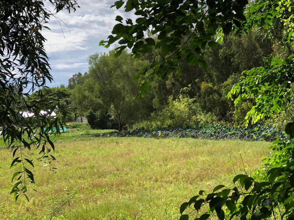 Huong Tram Homestay Ho Da 외부 사진