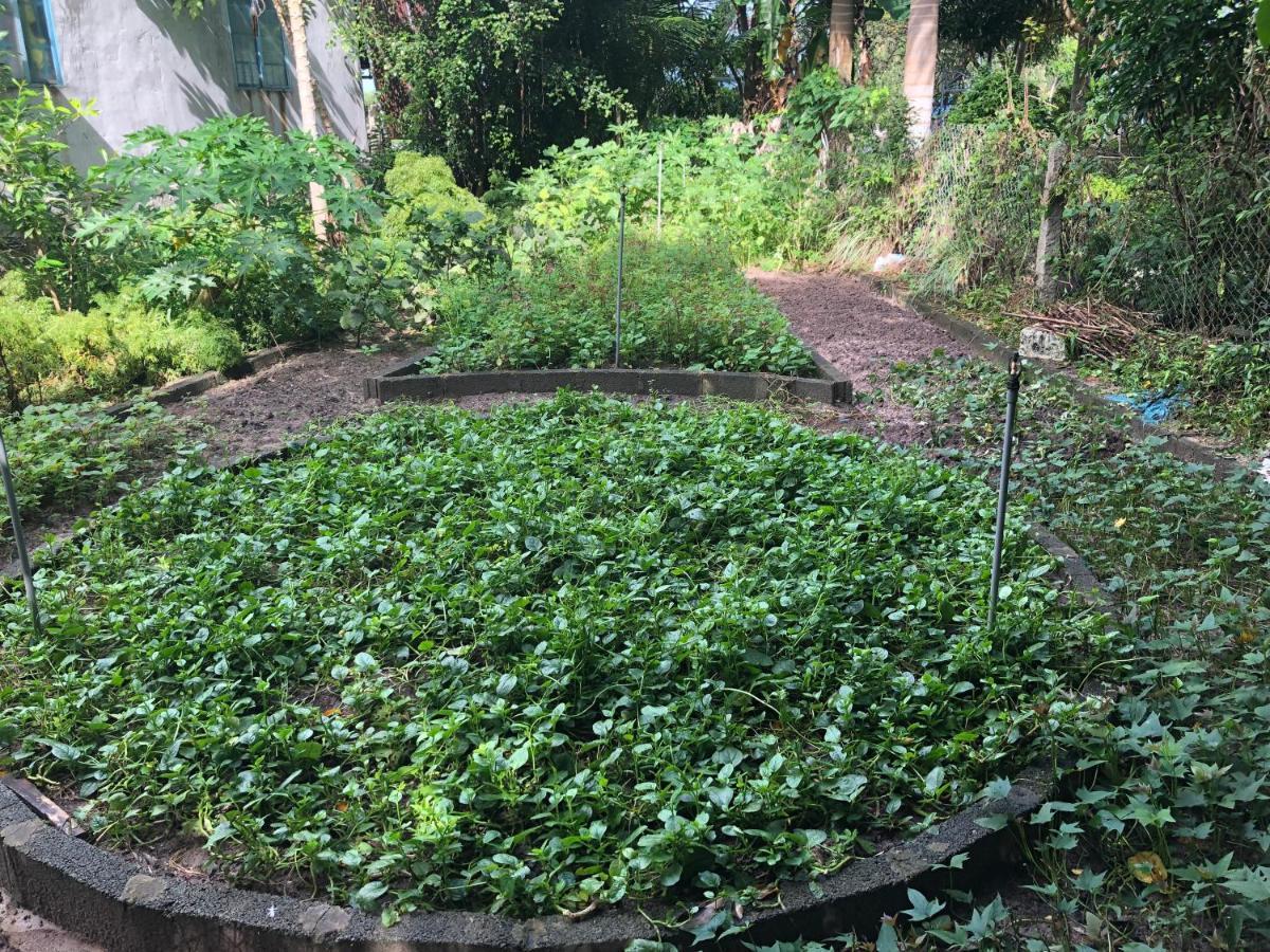 Huong Tram Homestay Ho Da 외부 사진